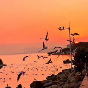 中国美女真人操逼′
